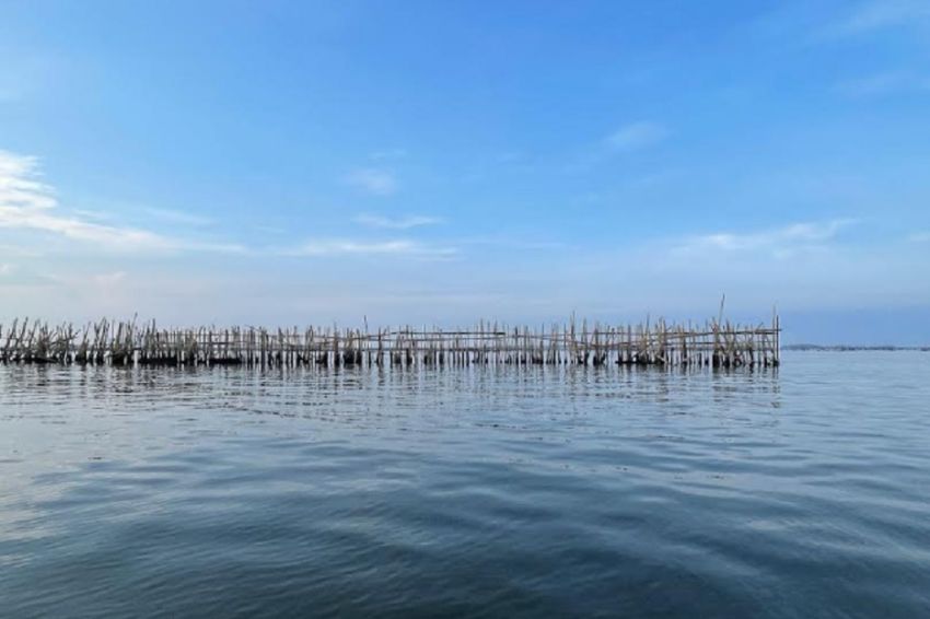 Pagar Laut Juga Ada di Dekat Pulau C Reklamasi Jakarta, Pemprov Jakarta Angkat Bicara