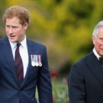 Pangeran Harry Seret Raja Charles III ke dalam Masalah Hukum