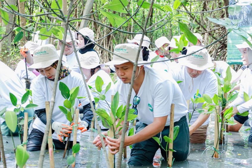 Penanaman Mangrove ‘sang Penjaga Garis Pantai’ Perkuat Komitmen untuk Lestarikan Alam