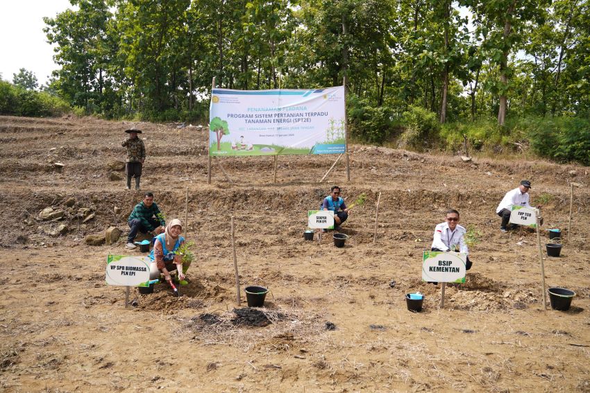 PLN EPI-Kementan Inisiasi Program Sistem Pertanian Terpadu Tanaman Energi di Brebes