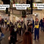 Pria Ini Ditangkap Polisi karena Kentut di Dalam Disneyland