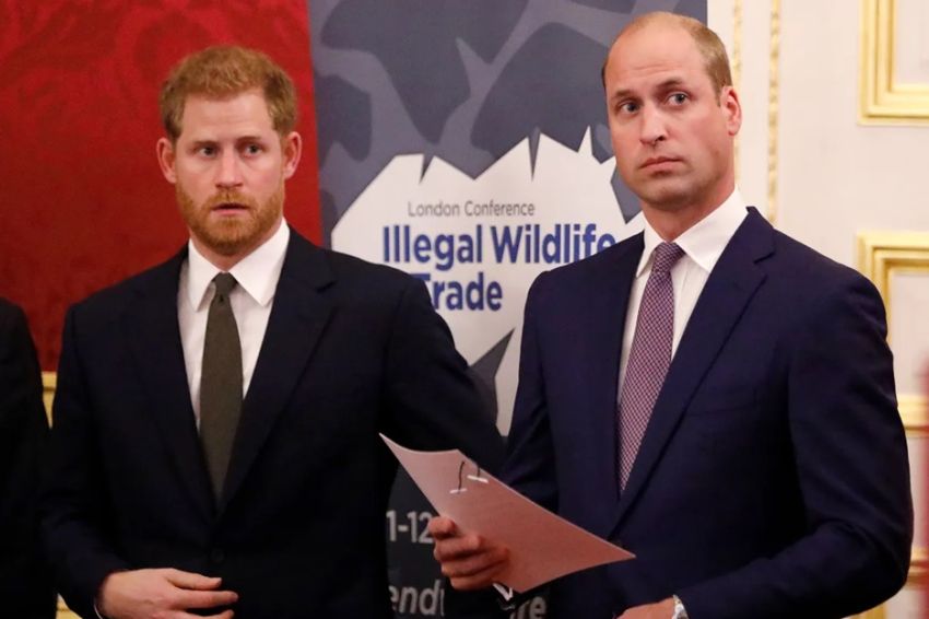 10 Fakta Hubungan Pangeran William dan Harry, dari Keluarga hingga Persaingan Saudara