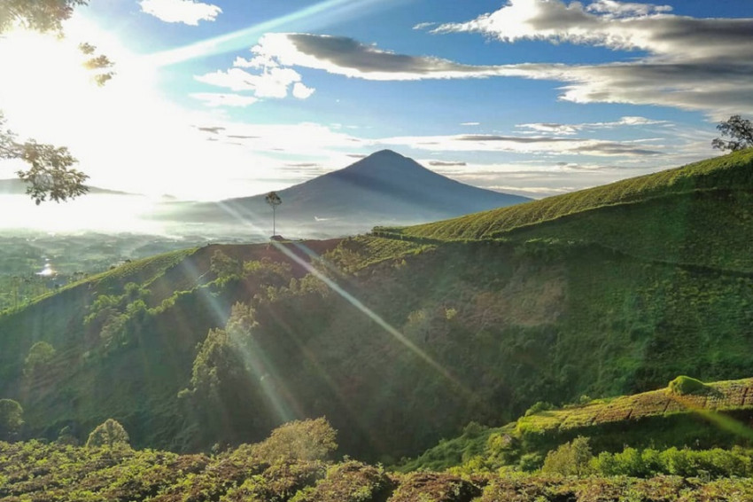 20 Rekomendasi Tempat Wisata di Garut, Diselimuti Udara Sejuk dan Dingin