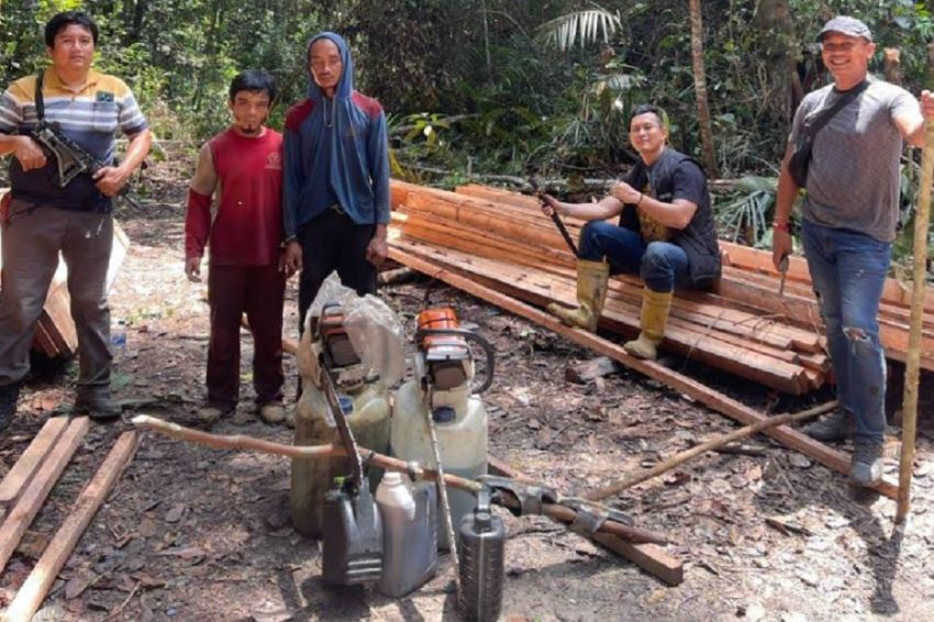 7 Pelaku Perambahan Hutan Lindung Suaka Margasatwa Rimbang Baling Riau Ditangkap