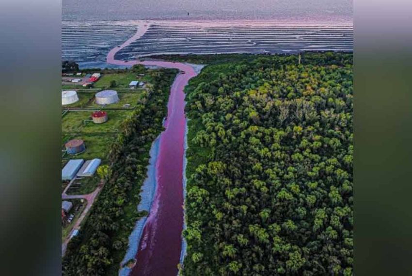 Air Kanal di Kota Argentina Berubah Warna Menjadi Merah Darah