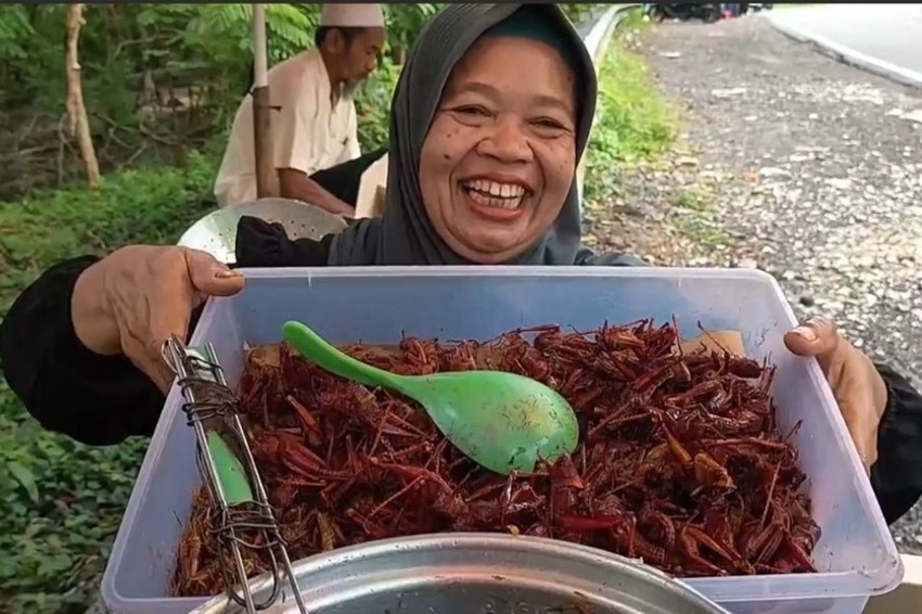 Belalang Goreng di Gunungkidul Diburu Wisatawan, Gara-gara Dadan Hindayana?