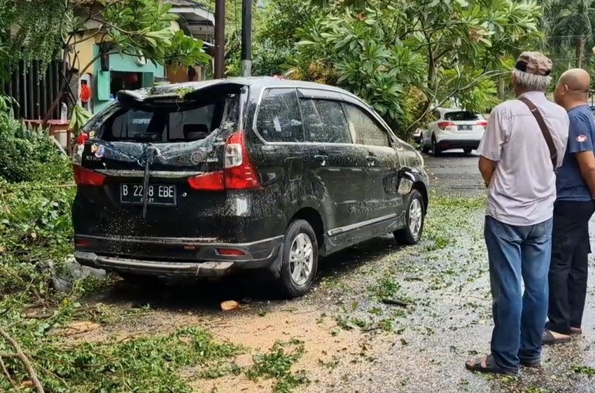 Belasan Pohon di Jakarta Tumbang Imbas Hujan Disertai Angin Kencang, Mobil Ringsek