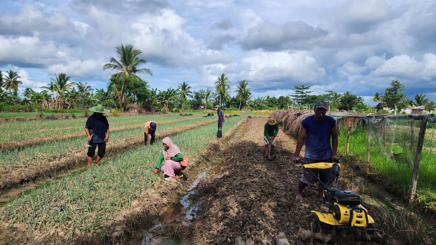 Cerita Petani di Merauke yang Produktivitasnya Makin Meningkat Berkat Program Pemberdayaan Klaster Usaha dari BRI