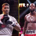 Deontay Wilder Calon Lawan Anthony Joshua jika Tyson Fury Pensiun