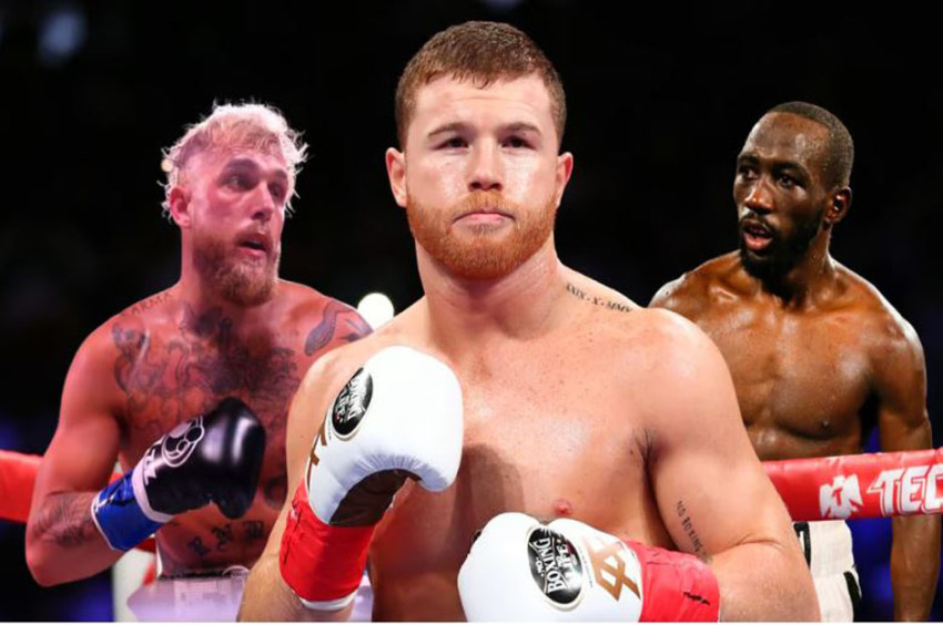 Gara-gara Jake Paul, Saul Canelo Alvarez vs Terence Crawford Dibatalkan!