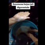 Heboh Hujan Jelly di Gorontalo Utara, BMKG: Tidak Mungkin Terjadi di Indonesia