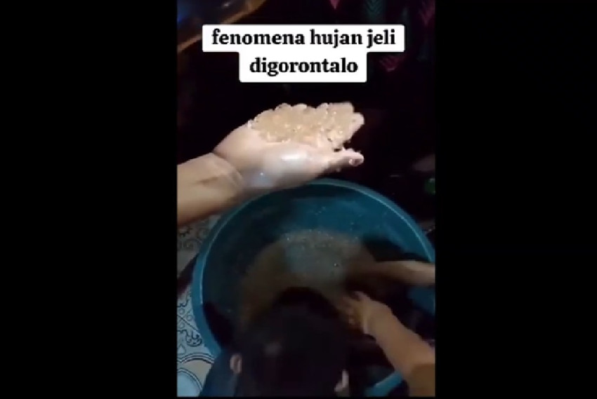 Heboh Hujan Jelly di Gorontalo Utara, BMKG: Tidak Mungkin Terjadi di Indonesia