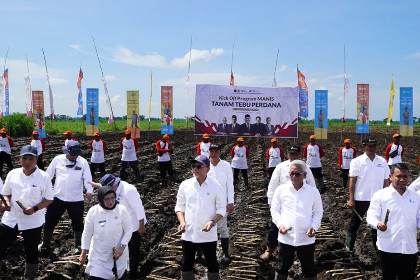 Jurus Memutus Kemandekan Produksi Gula