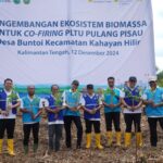 Kolaborasi, PLN EPI Kembangkan Ekosistem Biomassa di Kalteng