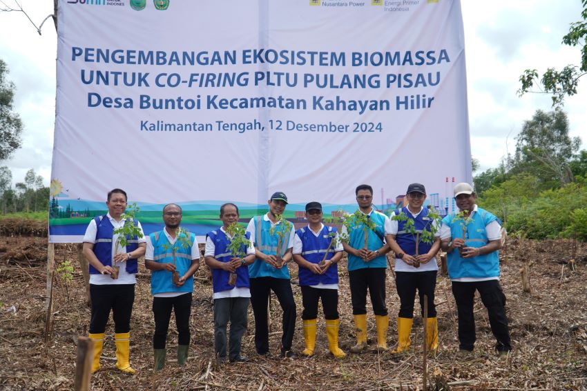 Kolaborasi, PLN EPI Kembangkan Ekosistem Biomassa di Kalteng