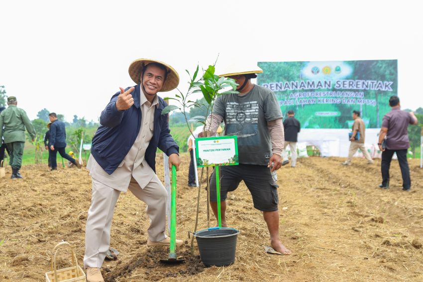 Mentan Amran dan Menhut Tanam Agroforestri Pangan Serentak di 17 Provinsi