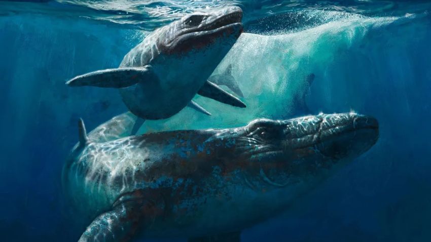 Misteri Monster Laut Kuno Mosasaurus Maroko: Fosil Asli atau Hanya Rekayasa?