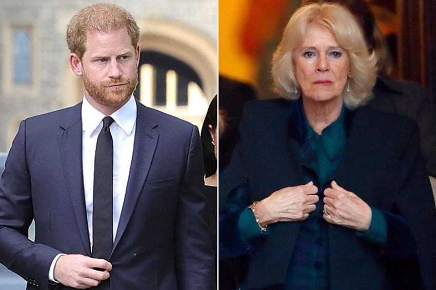 Pangeran Harry Kembali ke Inggris, Ratu Camilla Putuskan Keluar dari Istana