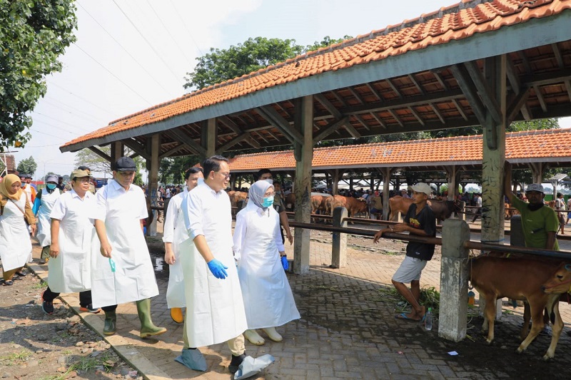 Pastikan Ternak Layak Dijual, Pj. Gubernur Adhy Tinjau Pasar Hewan Kota Probolinggo