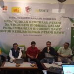 Pemerintah Harus Atur Pola Kemitraan dalam Pengembangan Biodiesel Sawit