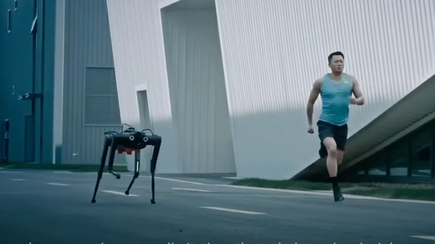 Robot Anjing Black Panther 2.0 Buatan China Berlari Melebihi Usain Bolt