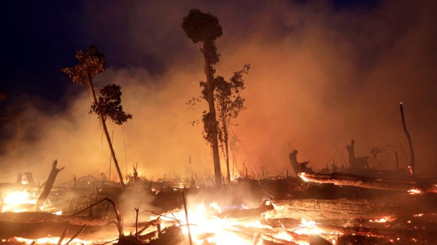 Santa Ana Jadikan Los Angeles dan California Hangus Terbakar dalam Sekejap Mata