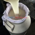 Soal Industri Wajib Serap Susu Lokal, Peternak Ingin Perpres Segera Diterbitkan