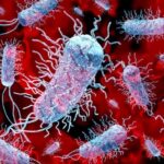 Virus dan Bakteri Berbahaya Bermunculan, Antibiotik di Ujung Tanduk