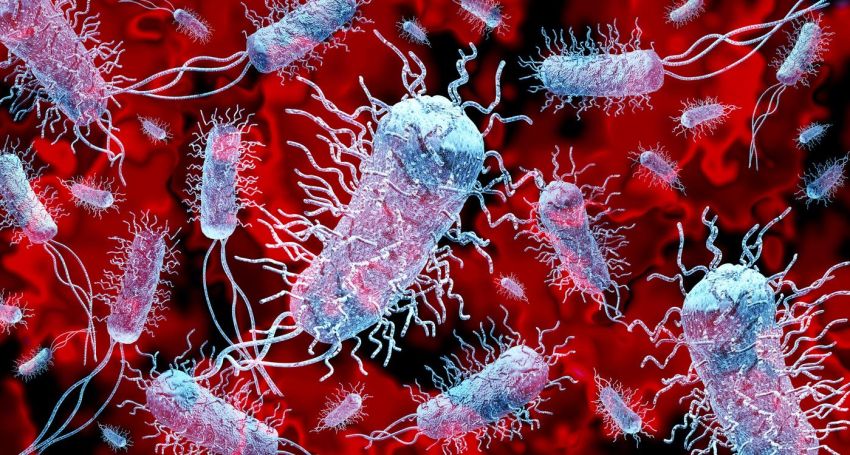 Virus dan Bakteri Berbahaya Bermunculan, Antibiotik di Ujung Tanduk