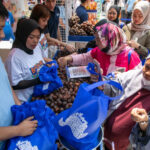 Diberdayakan BRI, Bisnis Klaster Petani Salak Ini Melejit!