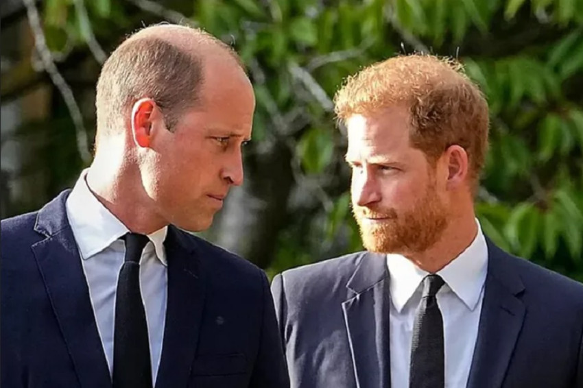 Pangeran Harry Hapus Jejak William di Film Dokumenter, Memperburuk Masalah Keluarga Kerajaan