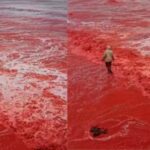 Pantai di Iran Tiba-tiba Berubah Warna Menjadi Merah Darah