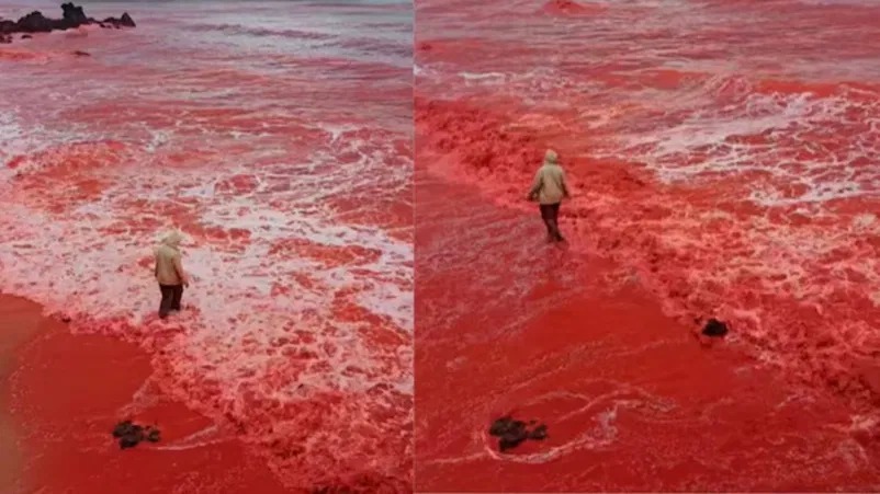 Pantai di Iran Tiba-tiba Berubah Warna Menjadi Merah Darah