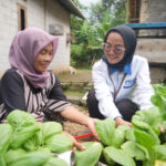 Rumah Pangan PNM, Berdayakan Nasabah untuk Dukung Asta Cita