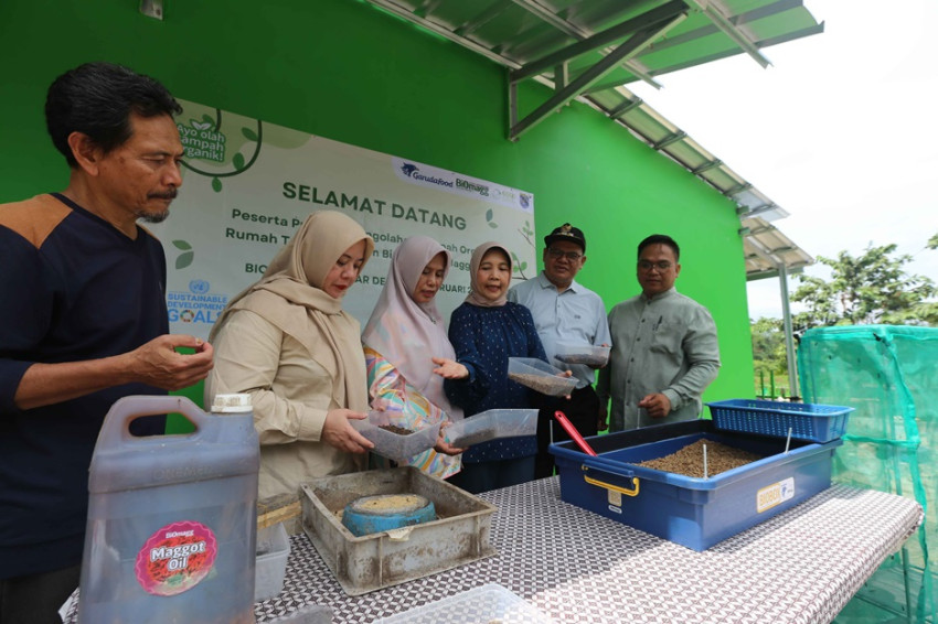 Teknologi Maggot Terobosan Baru dalam Pengelolaan Sampah Rumah Tangga